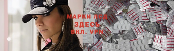 PSILOCYBIN Карталы
