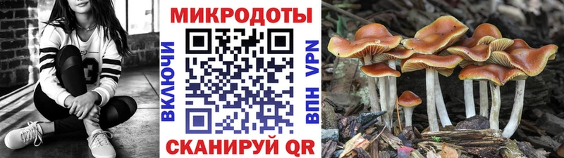 сколько стоит  Среднеколымск  Галлюциногенные грибы ЛСД 